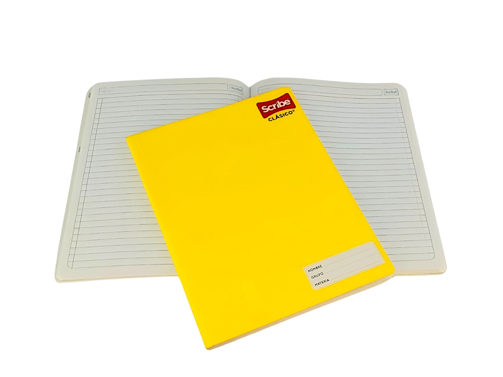 CUADERNO PROF COSIDO RAYA 100H 4500 SCRIBE                  