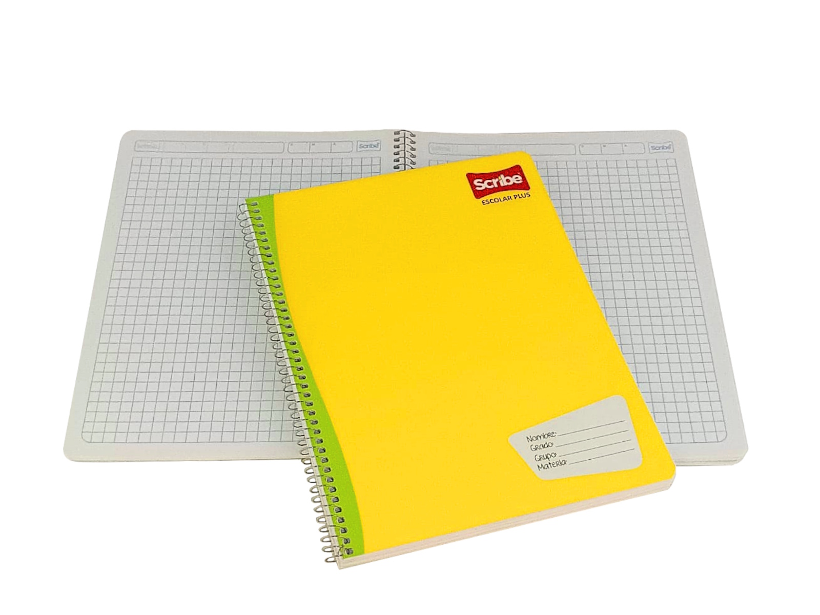 CUADERNO PROF CLASICO 100 HJS 7MM 7973 (2973) SCRIBE        