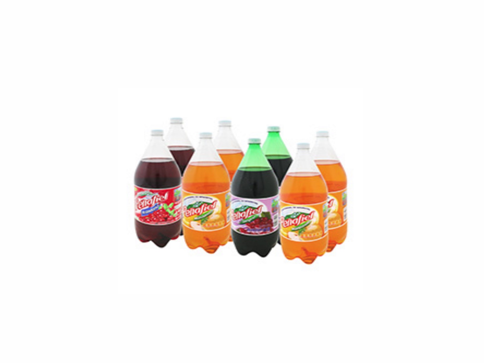 PEÑA FIEL 355ML. 24 PZAS VARIOS SABORES                     