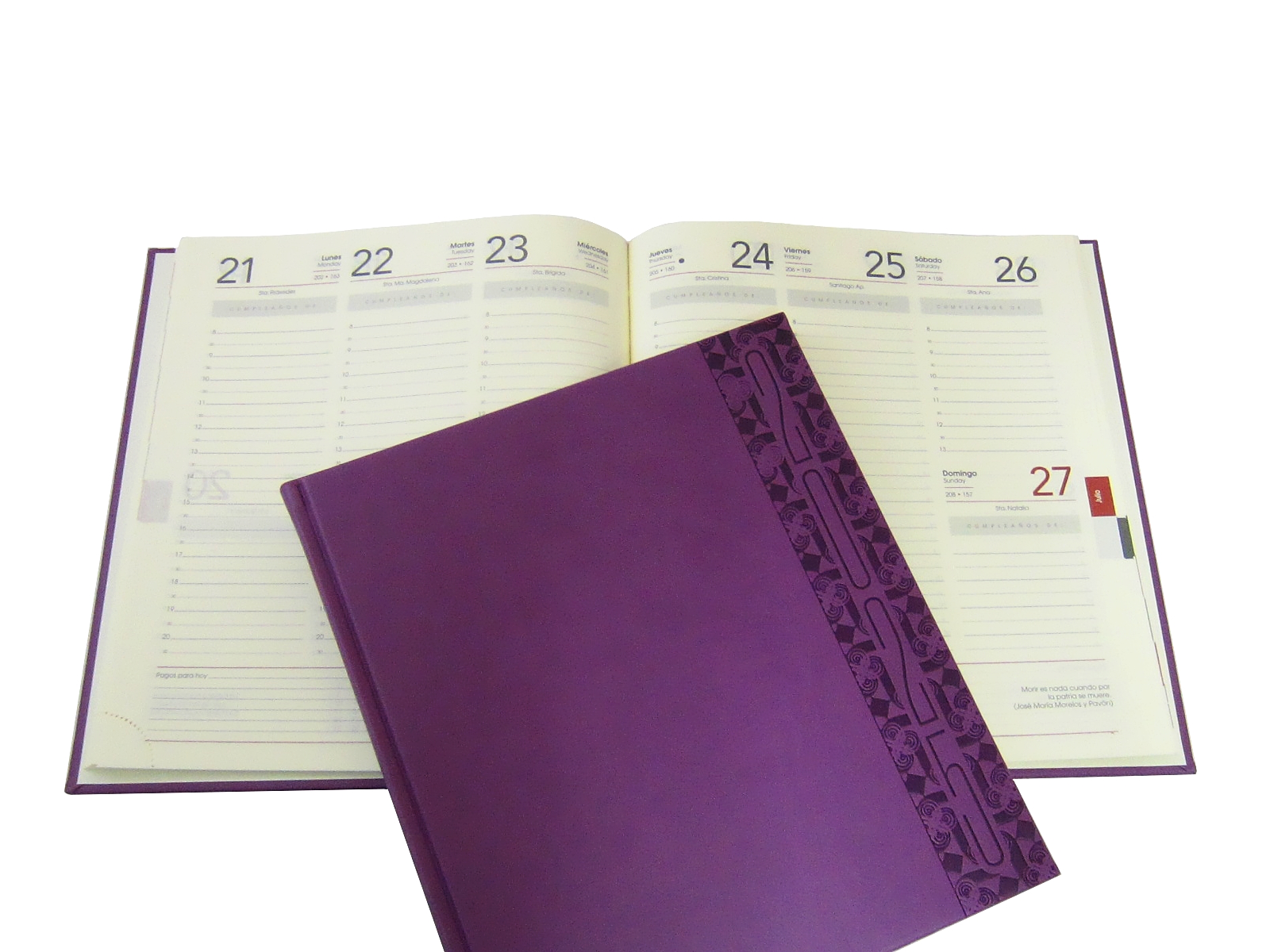 AGENDA EJECUTIVA 20X23 A-33 MORADO 2025 AVANTE              