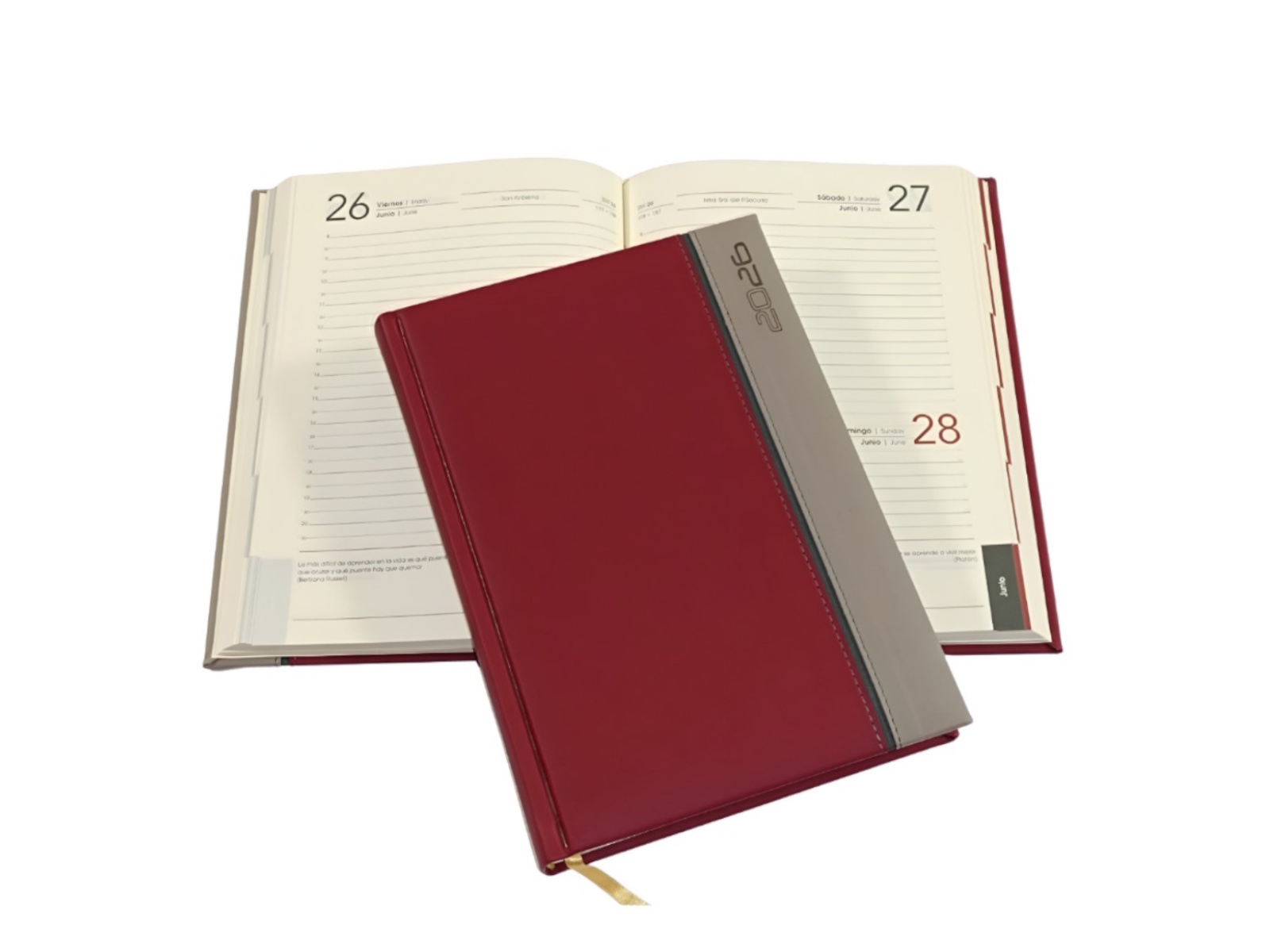 AGENDA MEMO BICOLOR ROJO/GRIS 15X21 A-16 2026 AVANTE        
