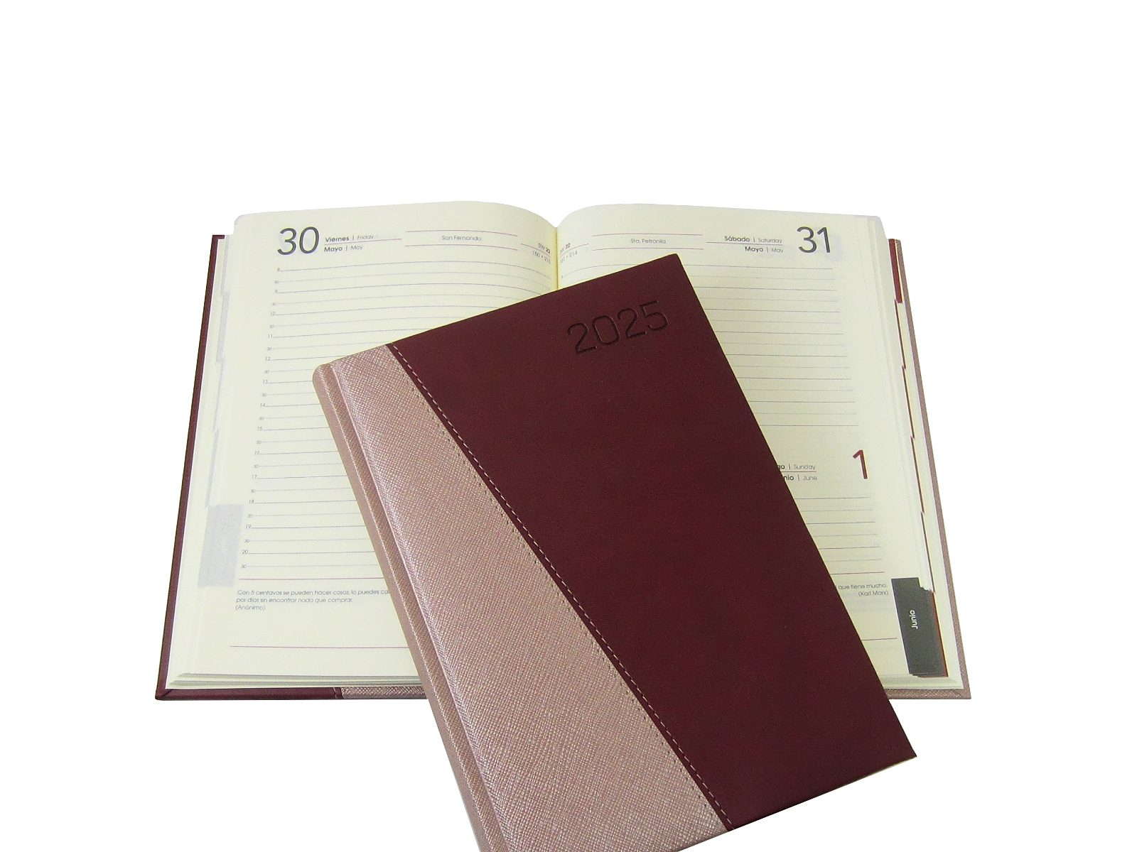 AGENDA MEMO BICOLOR BEIG/TINTA 15X21 A-16 2025 AVANTE       