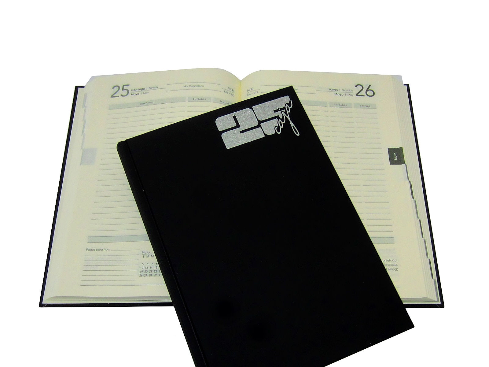 AGENDA CAJA POTOSIANO 15X21 NEGRO 2025 AVANTE               