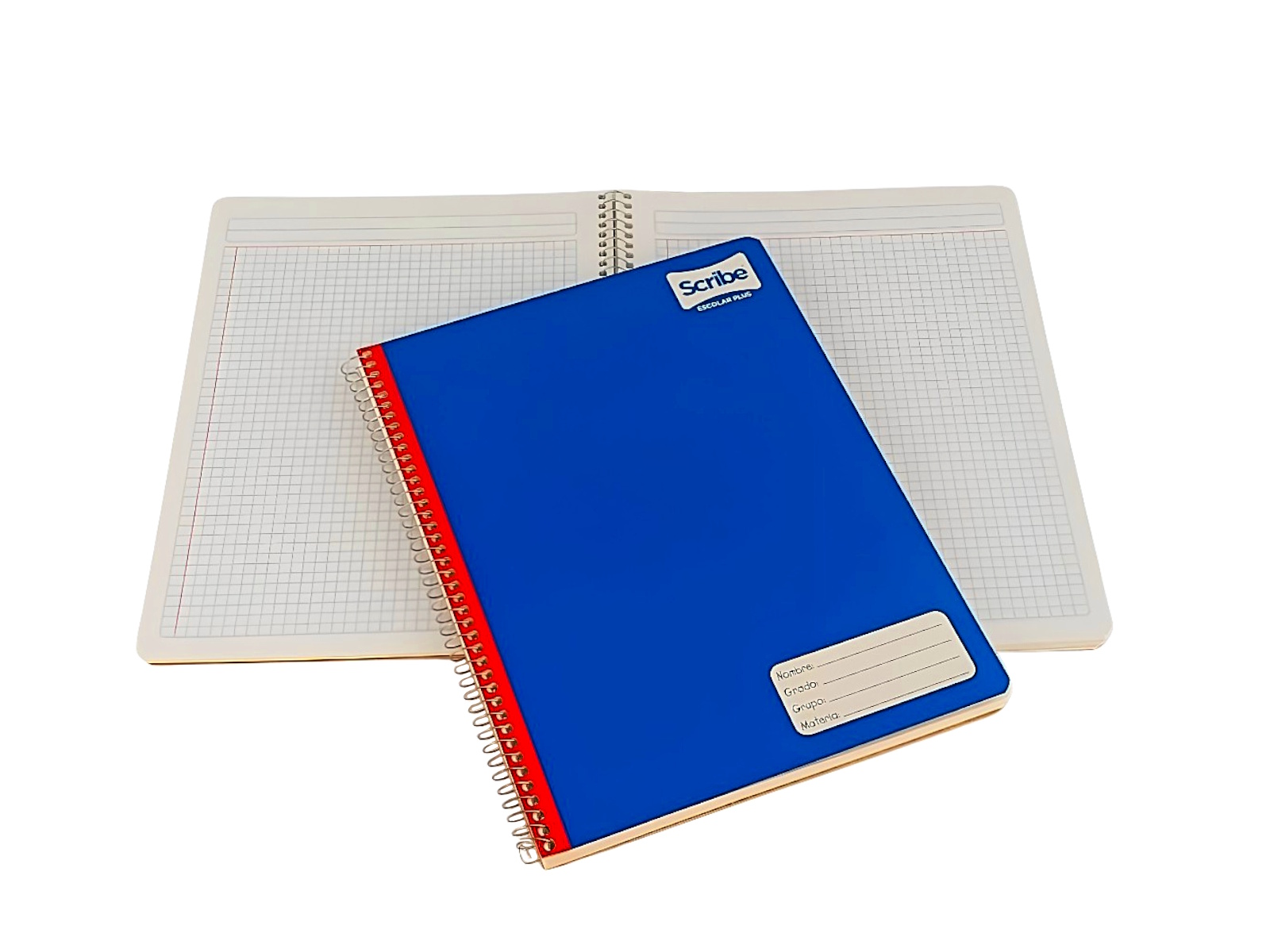 CUADERNO PROF CLASICO 100 HJS 5MM 2972 SCRIBE               